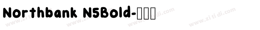 Northbank N5Bold字体转换